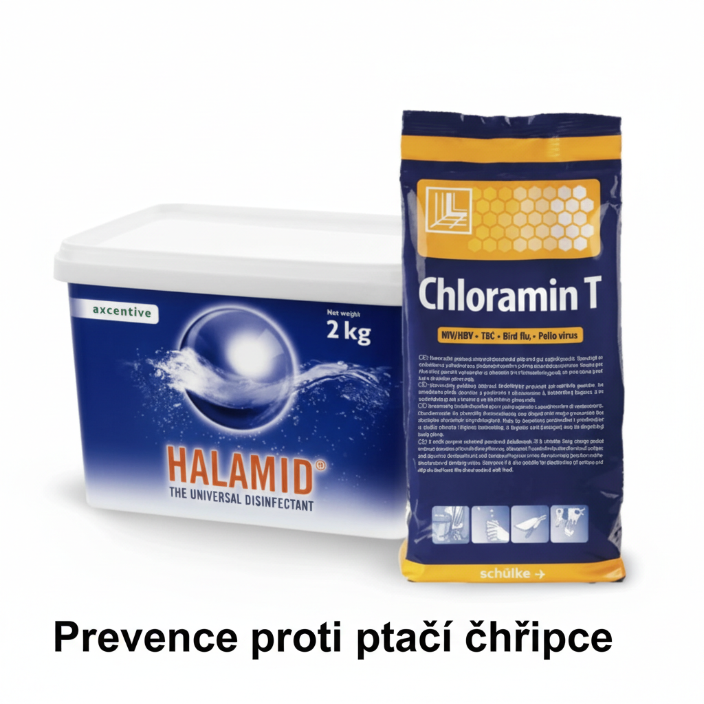 Ptačí chřipka: prevence, biobezpečnost a účinná dezinfekce