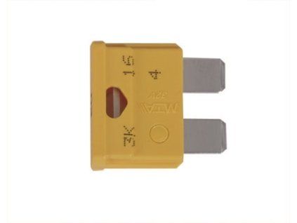 12567 pojistka 20 a pro nabijecky autobaterii telwin