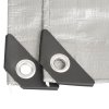 Plachta Procraft ST4x5 200g/m2 nepromokavá s oky 4x5 m stříbrná
